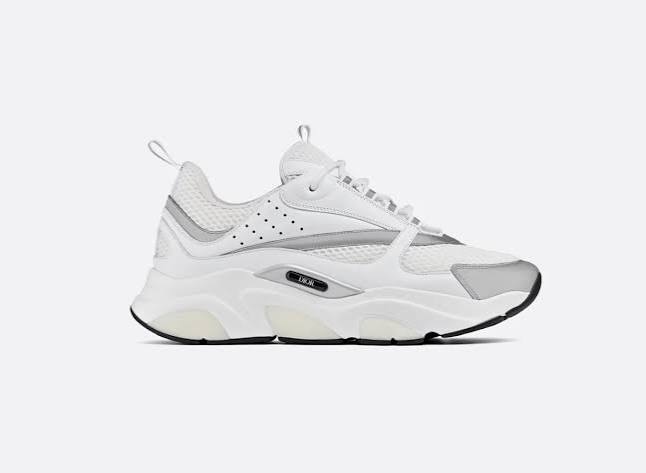 Dior B22
